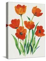 Red Tulips in Bloom I-Tim OToole-Stretched Canvas