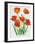 Red Tulips in Bloom I-Tim OToole-Framed Art Print