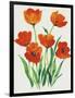 Red Tulips in Bloom I-Tim OToole-Framed Art Print