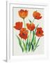 Red Tulips in Bloom I-Tim OToole-Framed Art Print