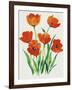 Red Tulips in Bloom I-Tim OToole-Framed Art Print