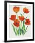 Red Tulips in Bloom I-Tim OToole-Framed Art Print