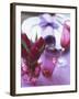 Red Tulips in Small Vase Beside Place Setting-Michael Paul-Framed Photographic Print