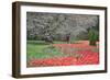 Red Tulips, Longwood Gardens, 2019-Anthony Butera-Framed Photographic Print