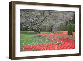 Red Tulips, Longwood Gardens, 2019-Anthony Butera-Framed Photographic Print