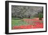 Red Tulips, Longwood Gardens, 2019-Anthony Butera-Framed Photographic Print