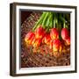 Red Tulips On Mosaic Table-volgariver-Framed Photographic Print