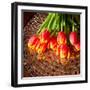 Red Tulips On Mosaic Table-volgariver-Framed Photographic Print