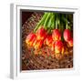 Red Tulips On Mosaic Table-volgariver-Framed Photographic Print