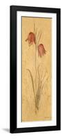 Red Tulips Panel-Cheri Blum-Framed Art Print