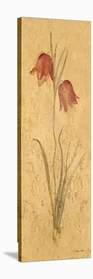 Red Tulips Panel-Cheri Blum-Stretched Canvas