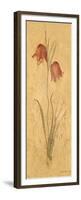 Red Tulips Panel-Cheri Blum-Framed Premium Giclee Print