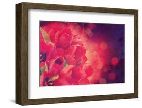 Red Tulips Photo with a Vintage Effect-kjpargeter-Framed Photographic Print