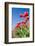 Red Tulips-esbobeldijk-Framed Photographic Print