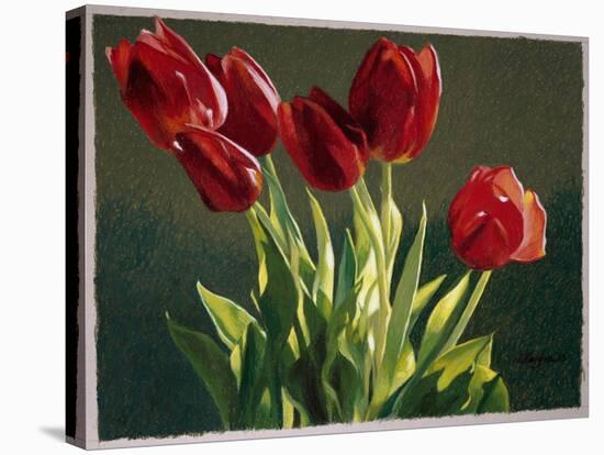 Red Tulips-Helen J. Vaughn-Stretched Canvas