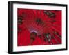 Red Umbrella, Chiang Mai, Northern Thailand-Gavin Hellier-Framed Photographic Print