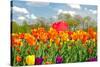 Red Umbrella in Tulips-14ktgold-Stretched Canvas