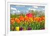 Red Umbrella in Tulips-14ktgold-Framed Photographic Print