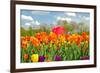 Red Umbrella in Tulips-14ktgold-Framed Photographic Print