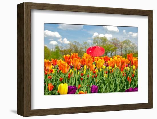 Red Umbrella in Tulips-14ktgold-Framed Photographic Print