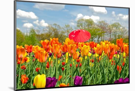 Red Umbrella in Tulips-14ktgold-Mounted Photographic Print