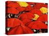 Red Umbrella-Sydney Edmunds-Stretched Canvas