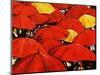 Red Umbrella-Sydney Edmunds-Mounted Giclee Print