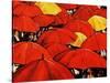 Red Umbrella-Sydney Edmunds-Stretched Canvas