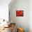 Red Umbrella-Sydney Edmunds-Framed Stretched Canvas displayed on a wall
