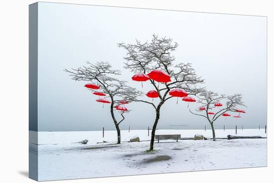 Red Umbrellas-Vladimir Kostka-Stretched Canvas