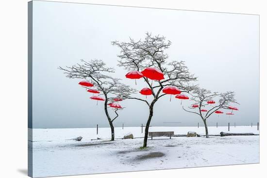 Red Umbrellas-Vladimir Kostka-Stretched Canvas