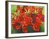 Red Vase-Graeme Stevenson-Framed Giclee Print