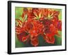 Red Vase-Graeme Stevenson-Framed Giclee Print