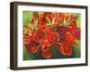 Red Vase-Graeme Stevenson-Framed Giclee Print