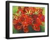 Red Vase-Graeme Stevenson-Framed Giclee Print