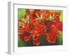 Red Vase-Graeme Stevenson-Framed Giclee Print