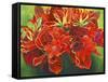 Red Vase-Graeme Stevenson-Framed Stretched Canvas