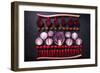 Red Vegetables Cut in Halves, Flat Lay Design on Dark Background, Symmetric-Marcin Jucha-Framed Photographic Print