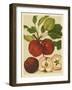 Red Veli Apples II-null-Framed Art Print