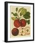 Red Veli Apples II-null-Framed Art Print