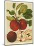 Red Veli Apples II-null-Mounted Art Print