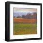 Red Vineyard Near The River I-Todd Telander-Framed Art Print