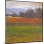 Red Vineyard Near The River I-Todd Telander-Mounted Art Print