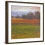 Red Vineyard Near The River I-Todd Telander-Framed Art Print