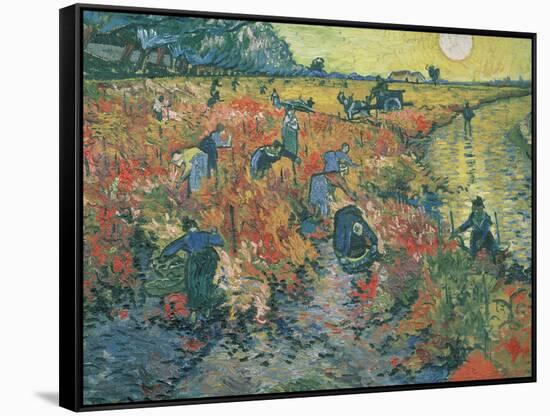 Red Vineyards at Arles, 1888-Vincent van Gogh-Framed Stretched Canvas