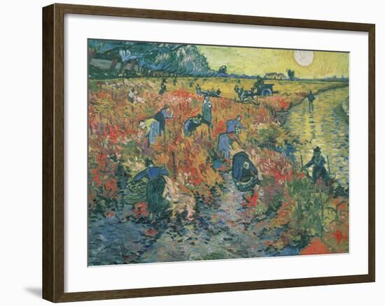 Red Vineyards at Arles, 1888-Vincent van Gogh-Framed Giclee Print