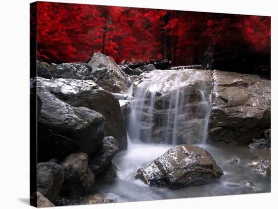 Red Vision-Philippe Sainte-Laudy-Stretched Canvas