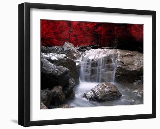 Red Vision-Philippe Sainte-Laudy-Framed Premium Photographic Print