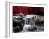 Red Vision-Philippe Sainte-Laudy-Framed Premium Photographic Print