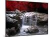 Red Vision-Philippe Sainte-Laudy-Mounted Premium Photographic Print